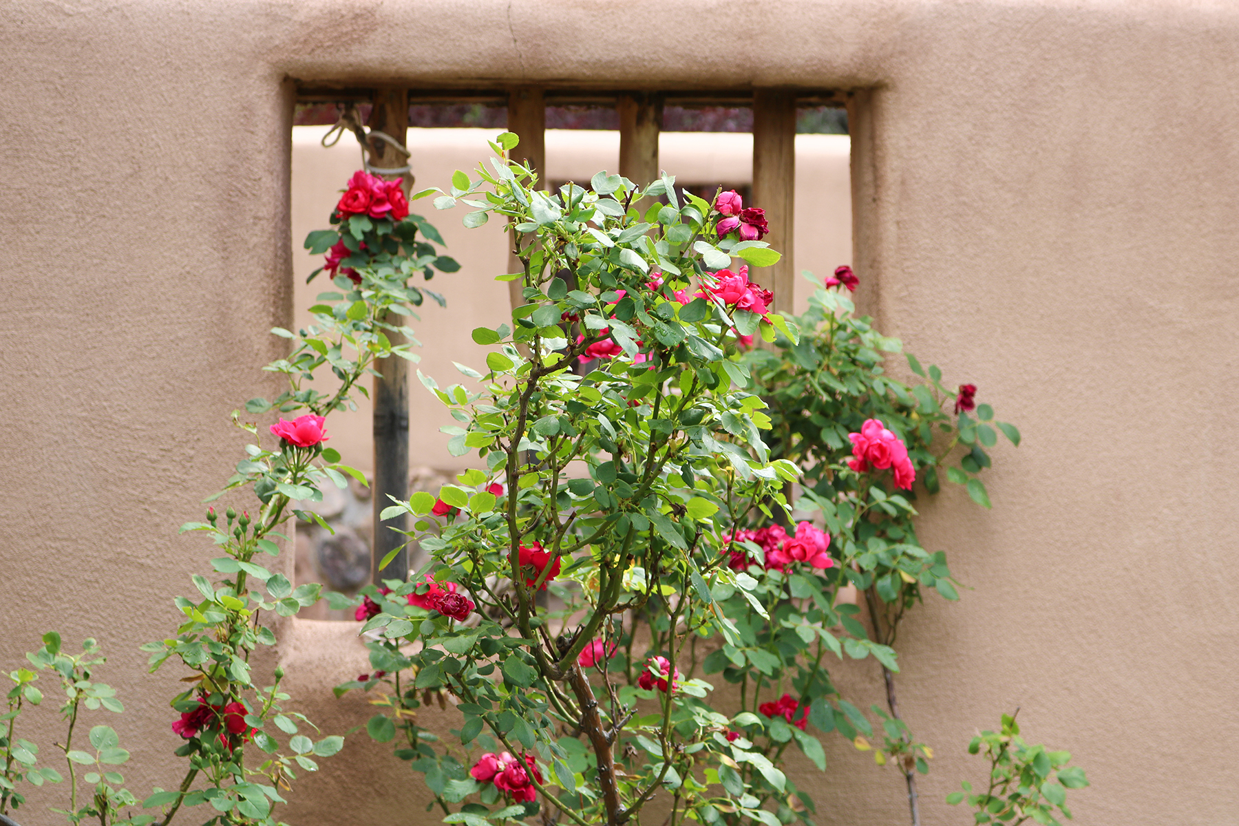 Abiquiu Valley Farm property picture 30 of 52