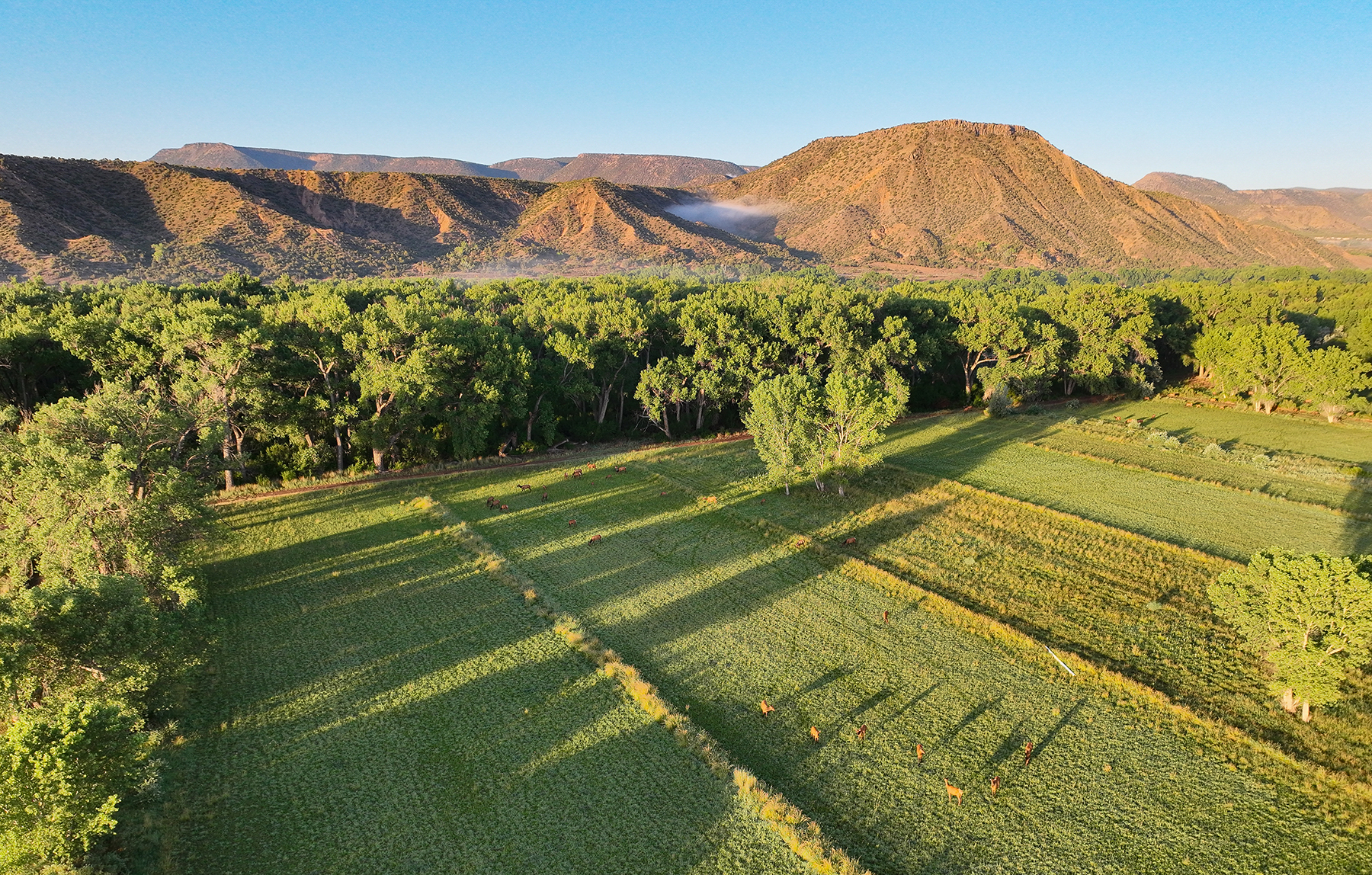 Abiquiu Valley Farm property picture 42 of 52
