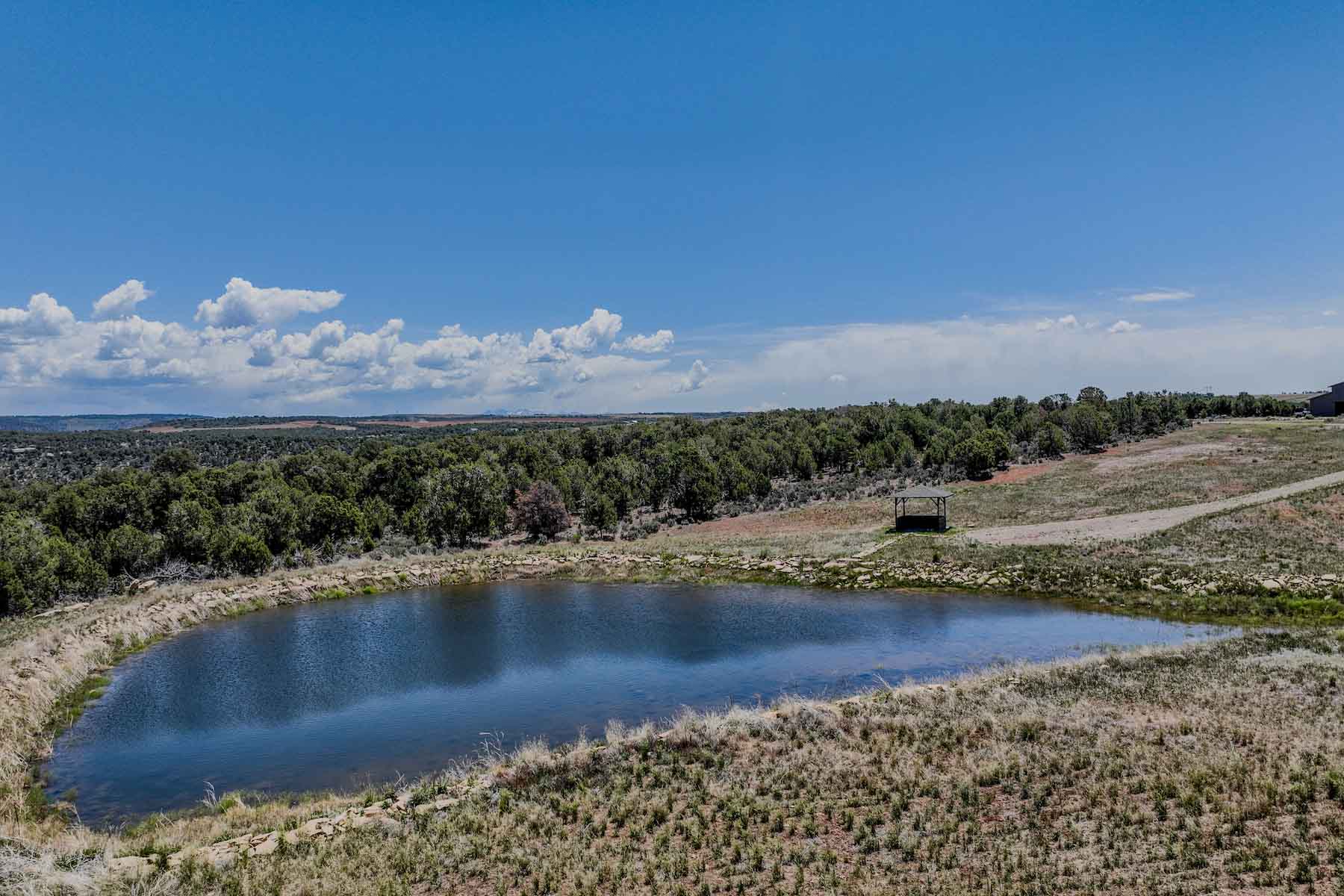 Circle J Ranch property picture 6 of 90