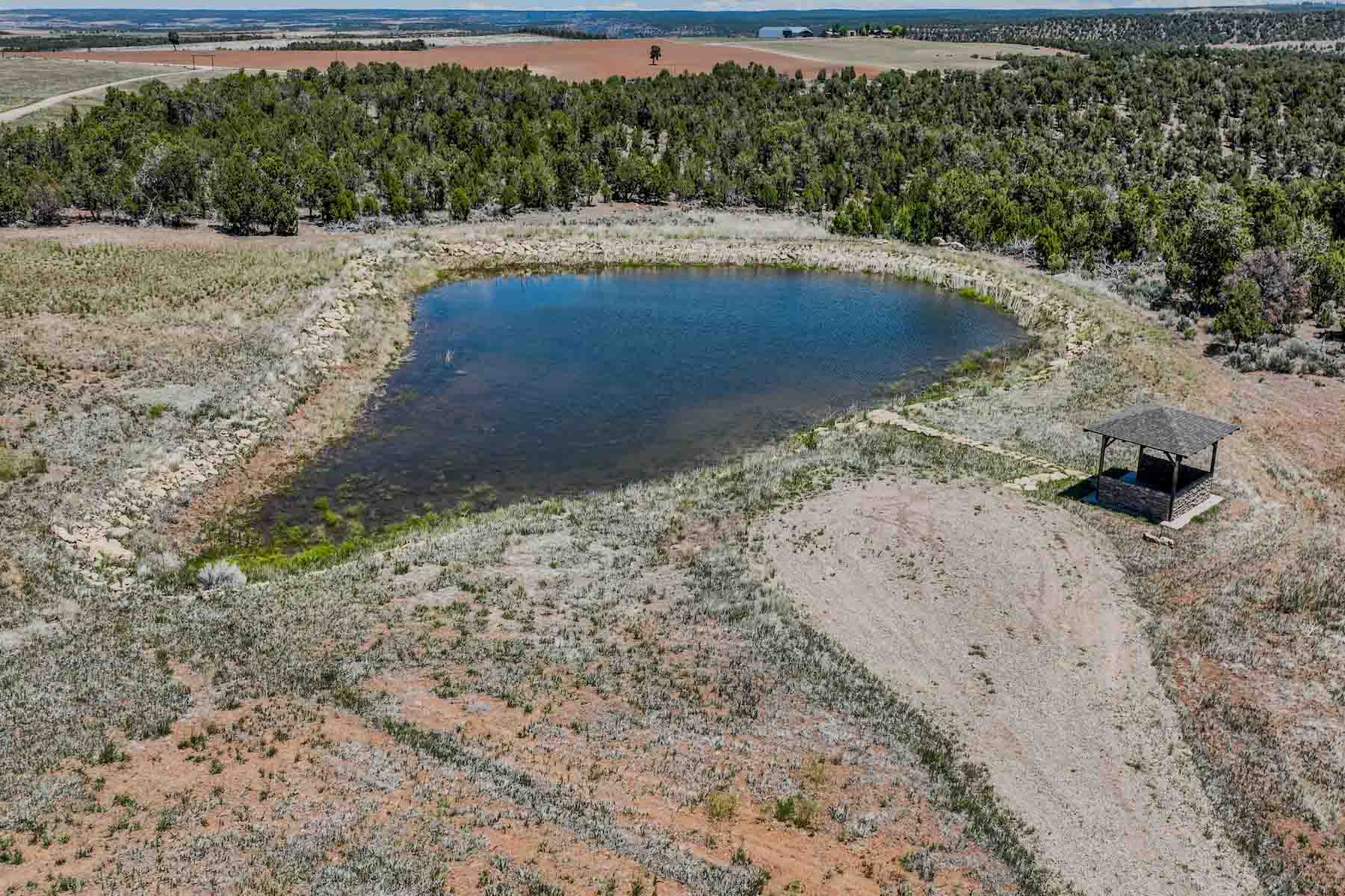 Circle J Ranch property picture 13 of 90