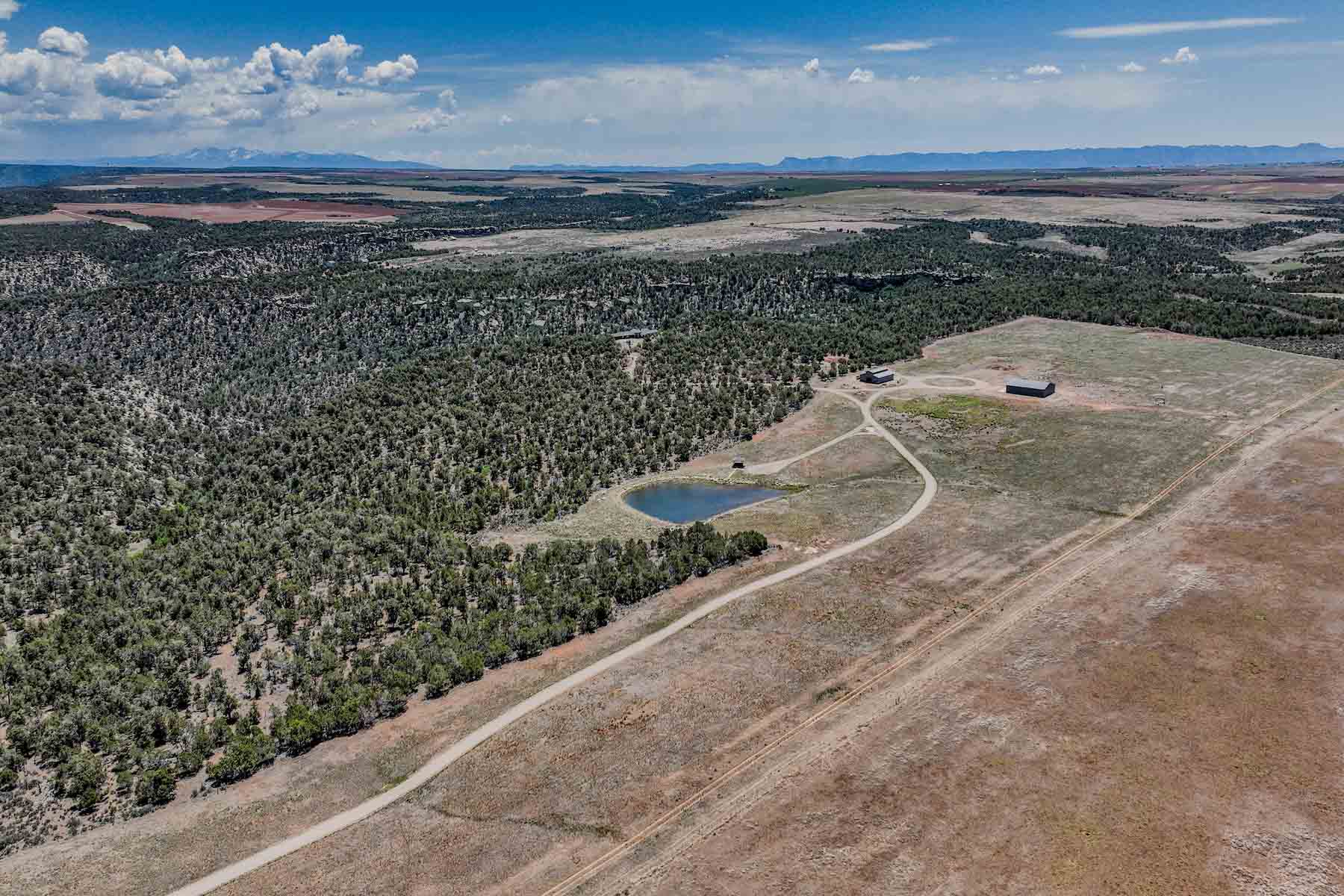 Circle J Ranch property picture 5 of 90