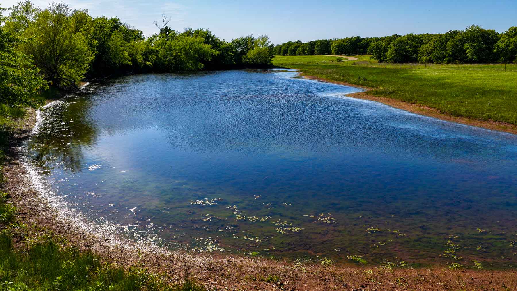 Redhawk Lake Ranch property picture 53 of 76