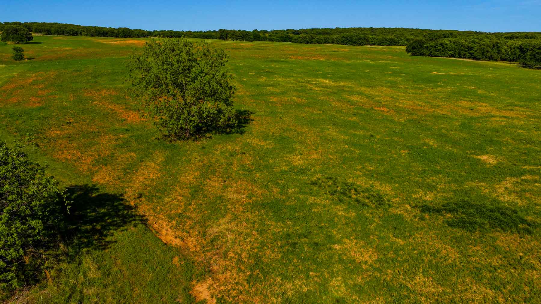 Redhawk Lake Ranch property picture 61 of 76