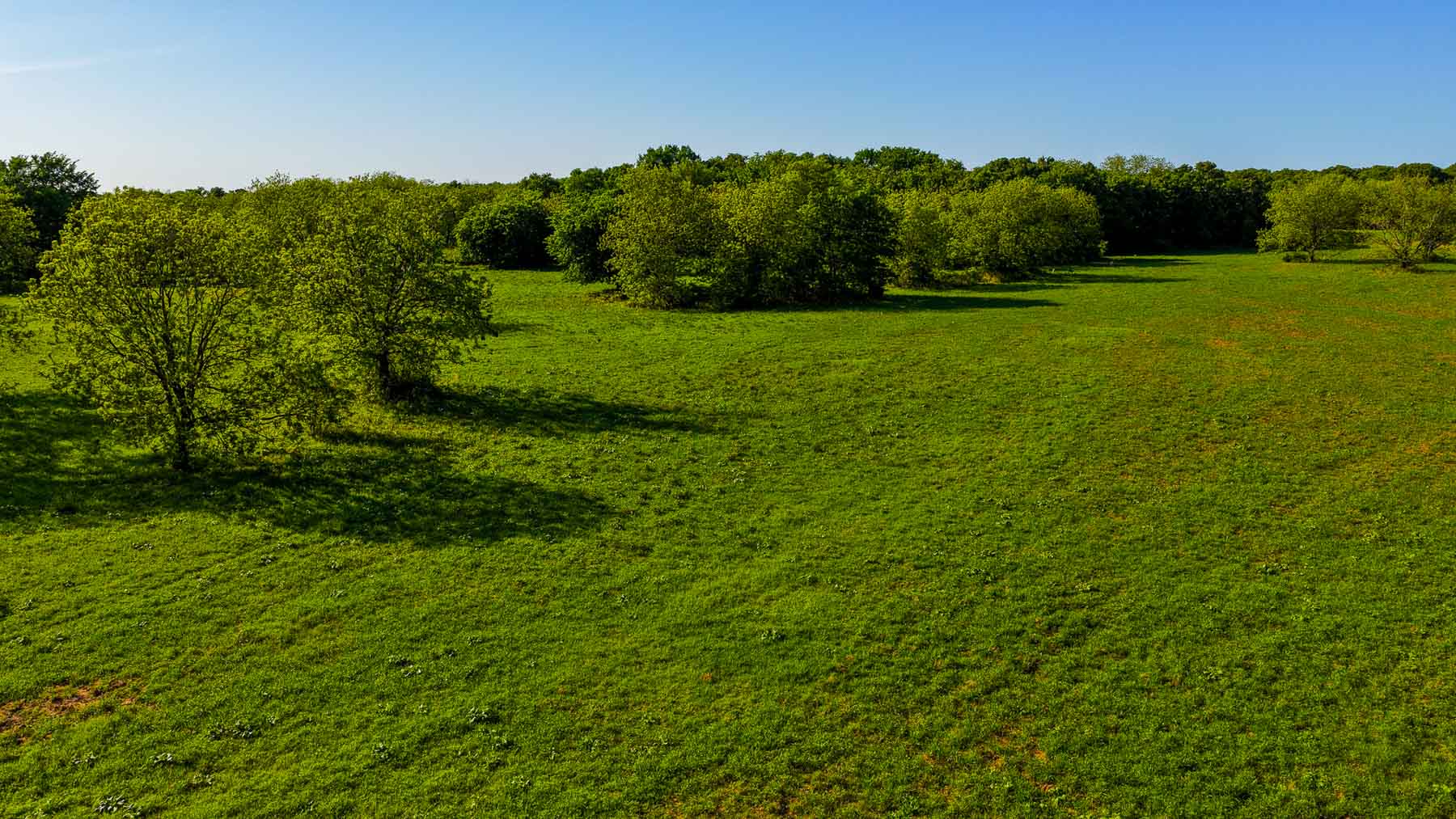 Redhawk Lake Ranch property picture 38 of 76