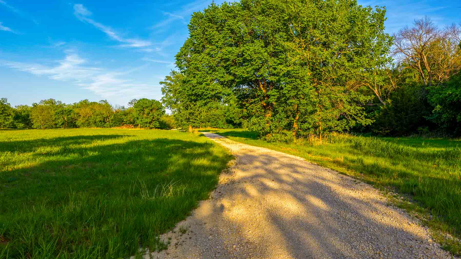 Redhawk Lake Ranch property picture 81 of 93