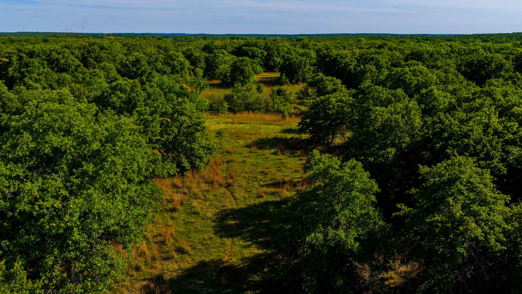 Redhawk Lake Ranch property picture 60 of 76