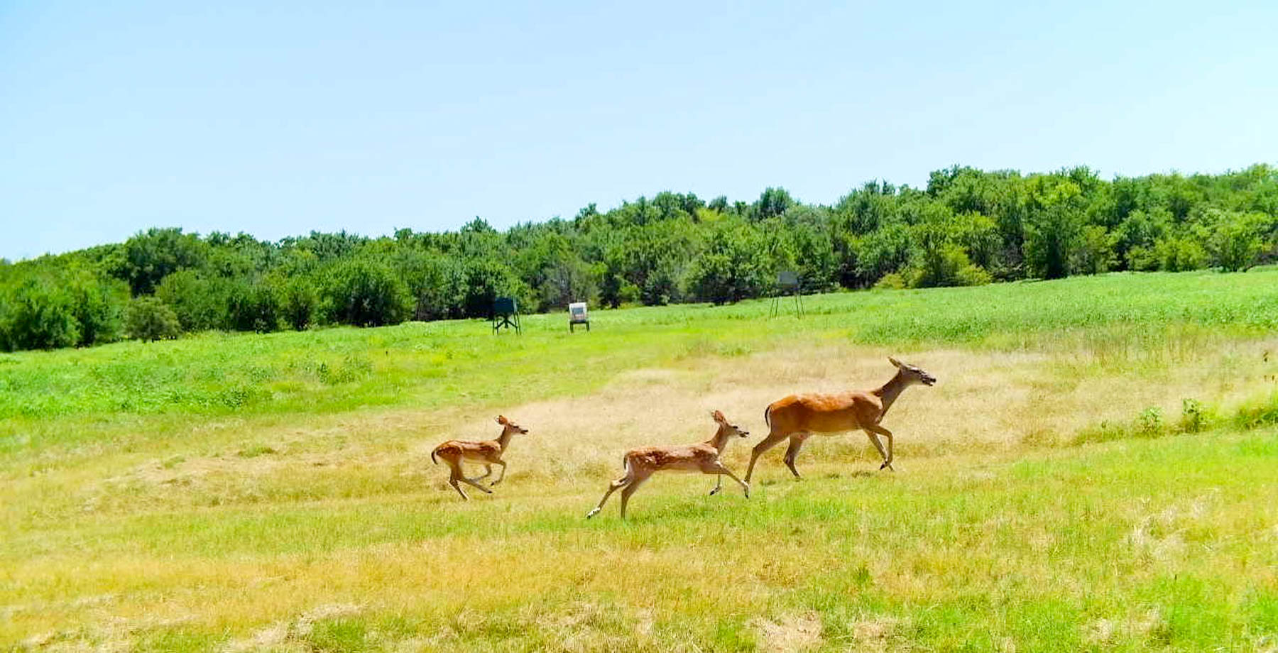 Redhawk Lake Ranch property picture 85 of 93