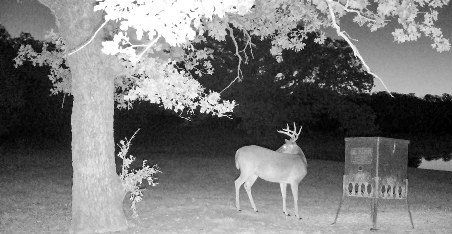 Redhawk Lake Ranch property picture 86 of 93
