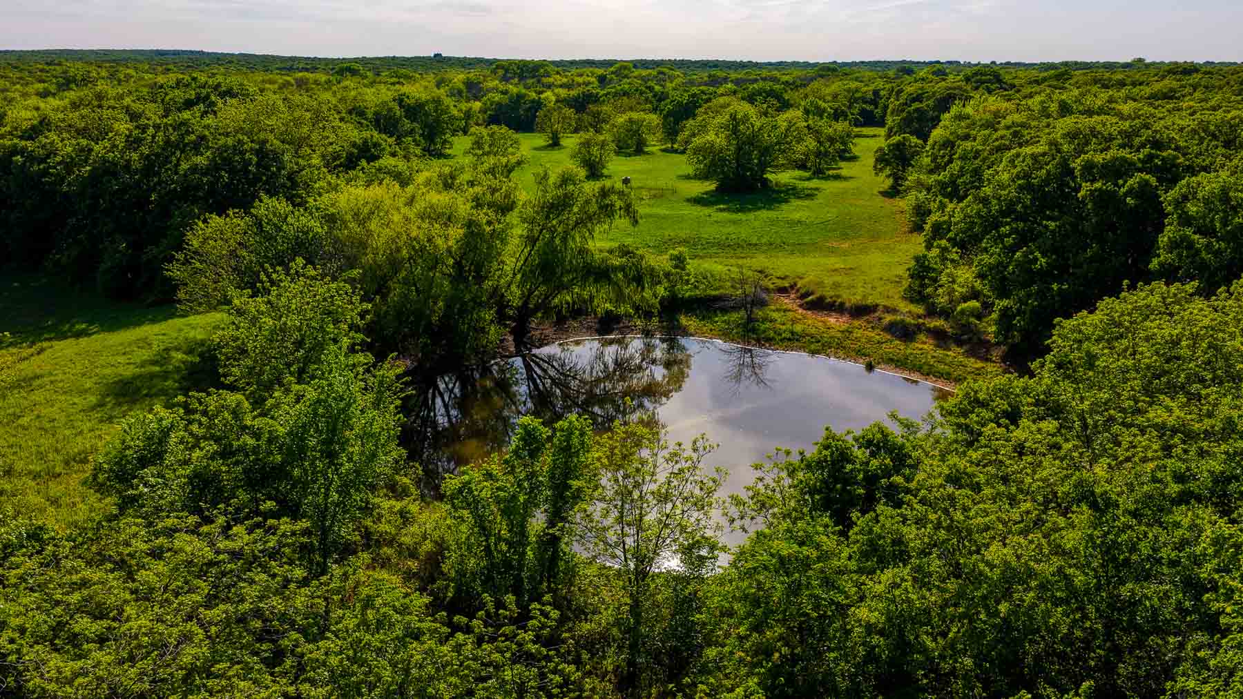 Redhawk Lake Ranch property picture 27 of 76
