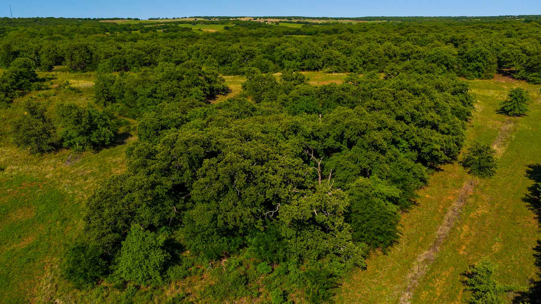 Redhawk Lake Ranch property picture 55 of 76