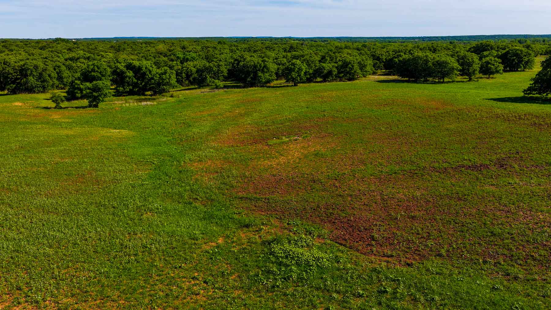 Redhawk Lake Ranch property picture 28 of 76