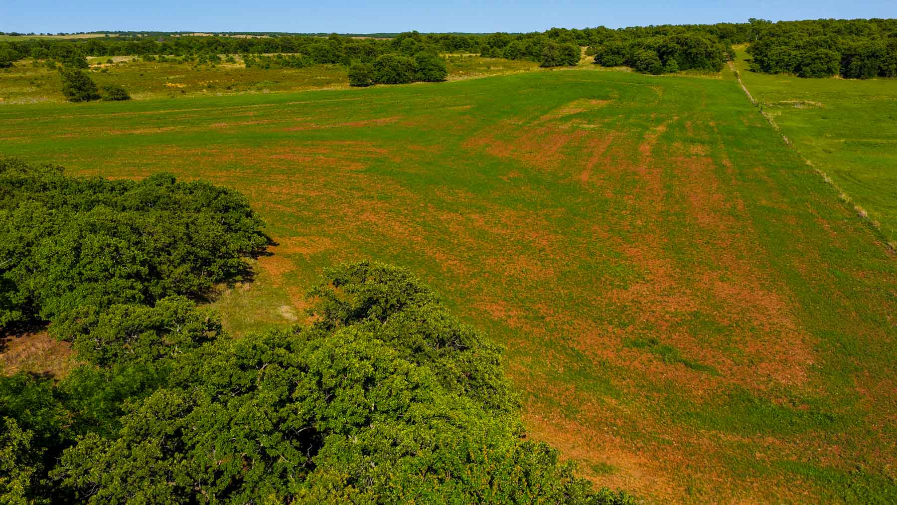 Redhawk Lake Ranch property picture 29 of 76