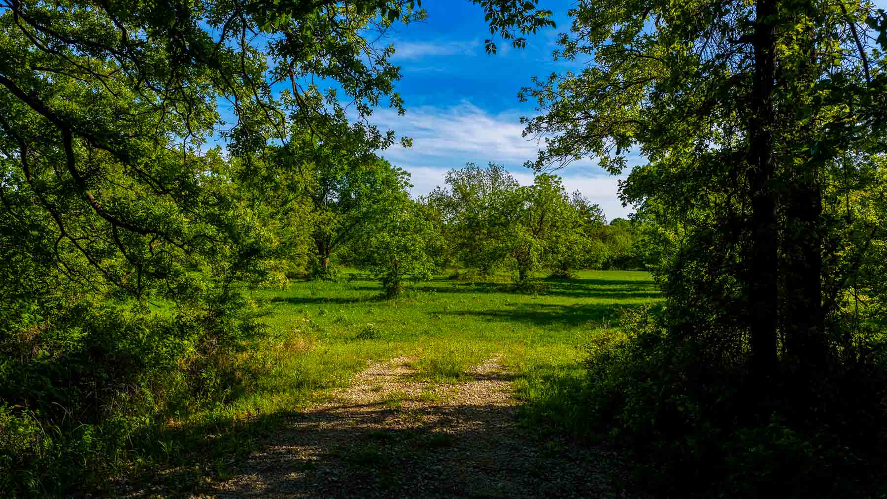 Redhawk Lake Ranch property picture 34 of 76