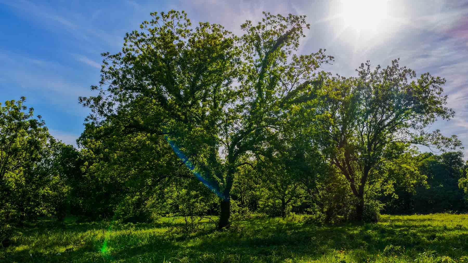 Redhawk Lake Ranch property picture 42 of 76