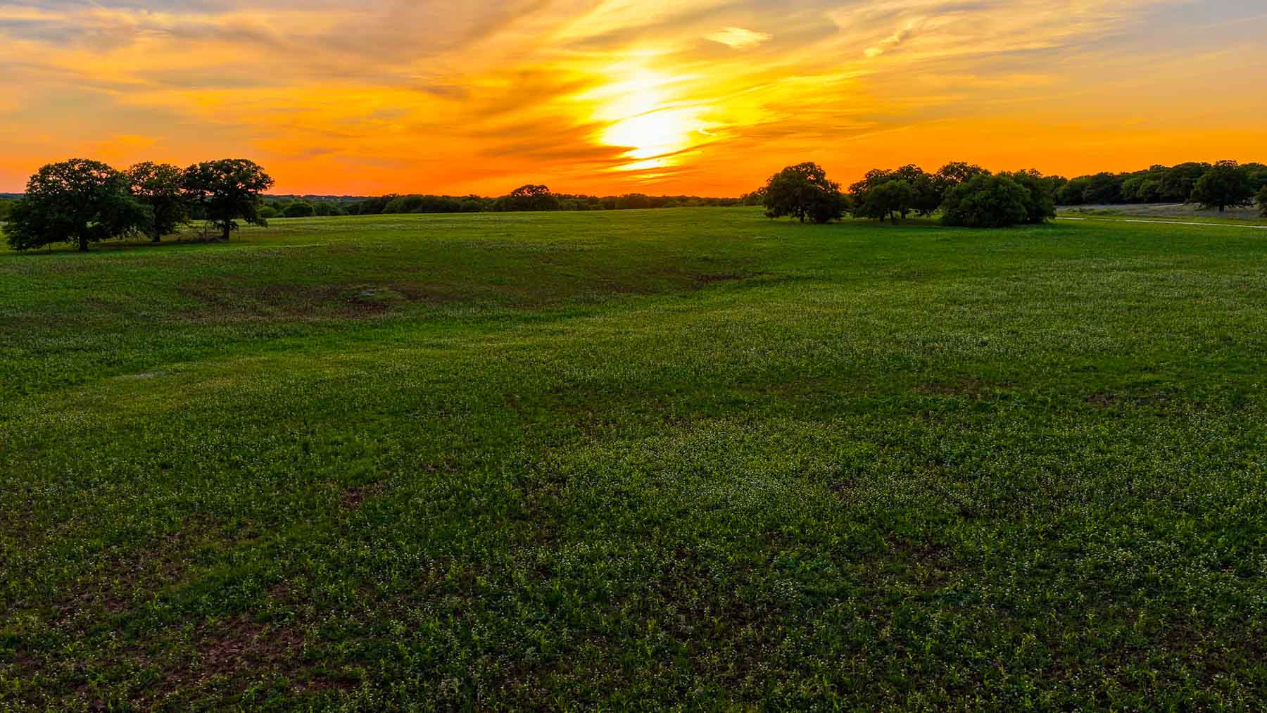 Redhawk Lake Ranch property picture 22 of 76