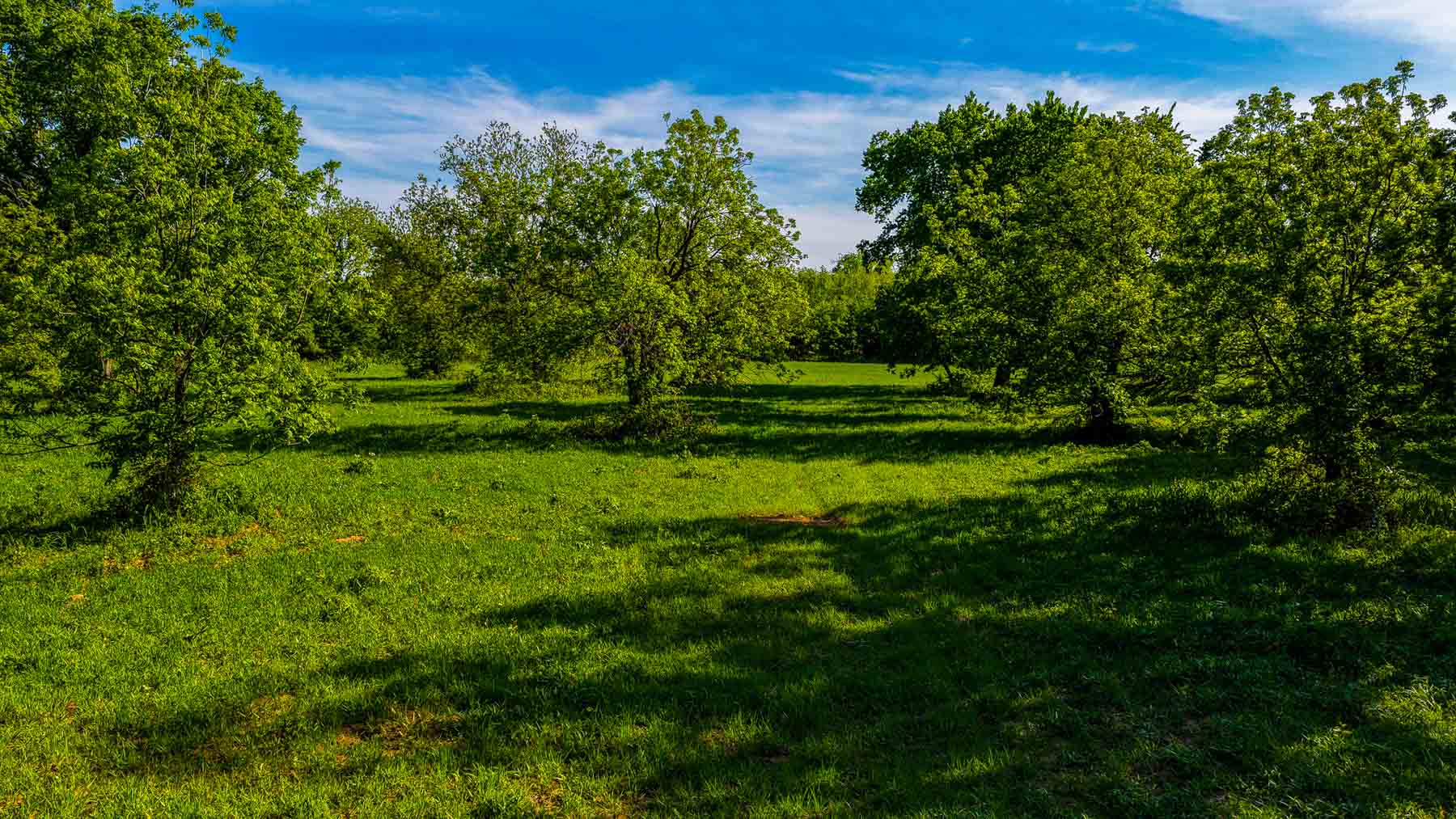 Redhawk Lake Ranch property picture 64 of 76