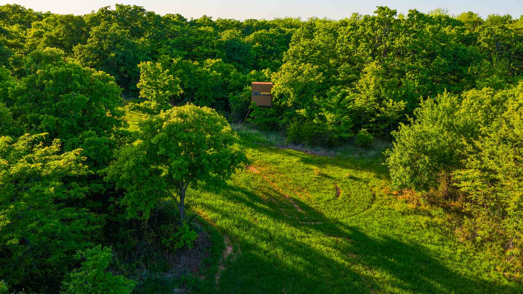 Farmers Creek Ranch property picture 51 of 62