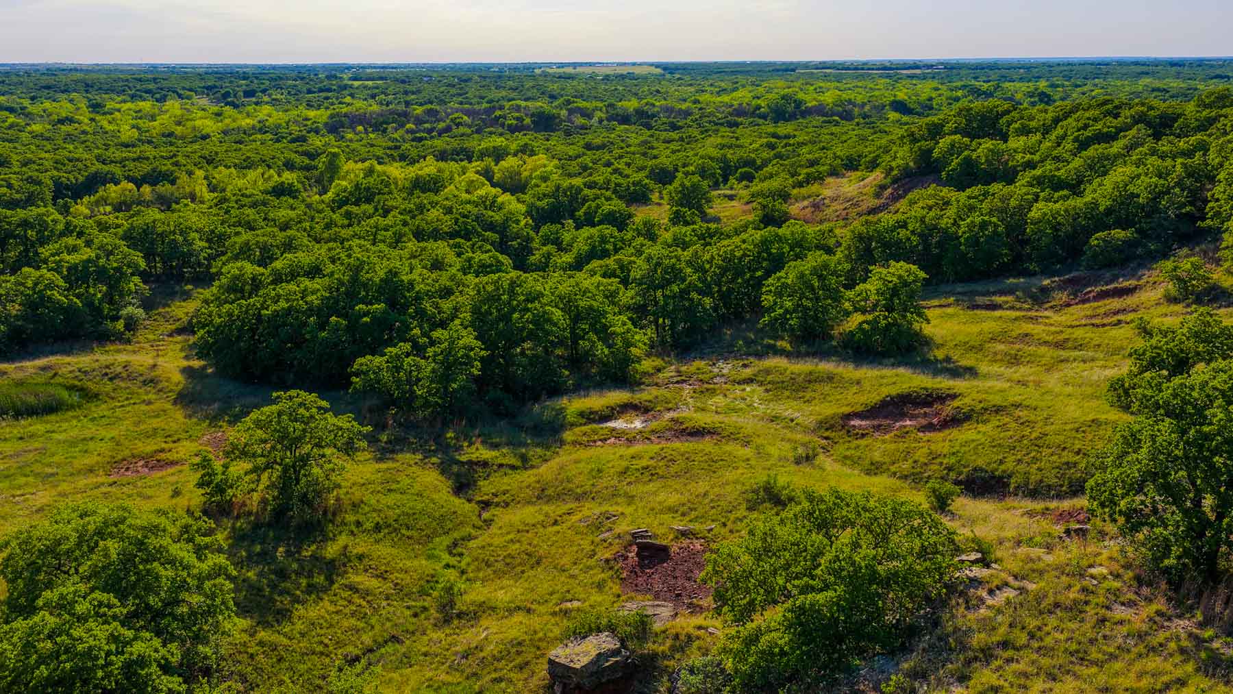 Farmers Creek Ranch property picture 31 of 62