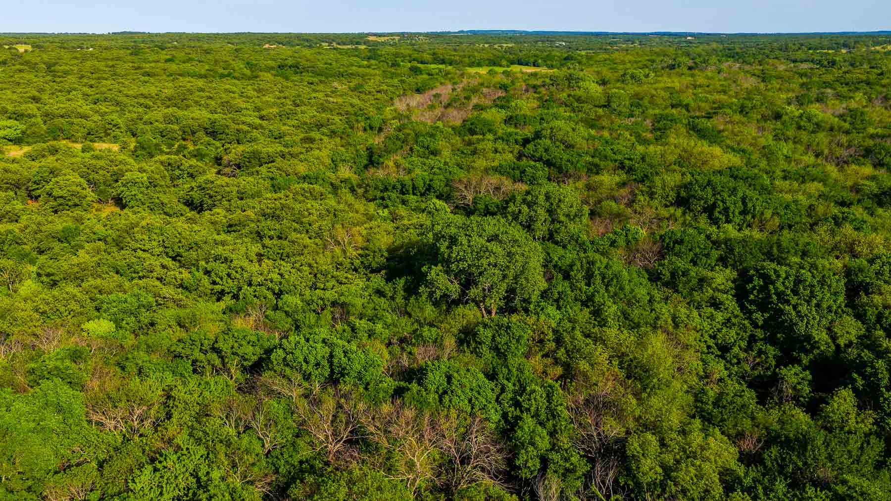 Farmers Creek Ranch property picture 23 of 62