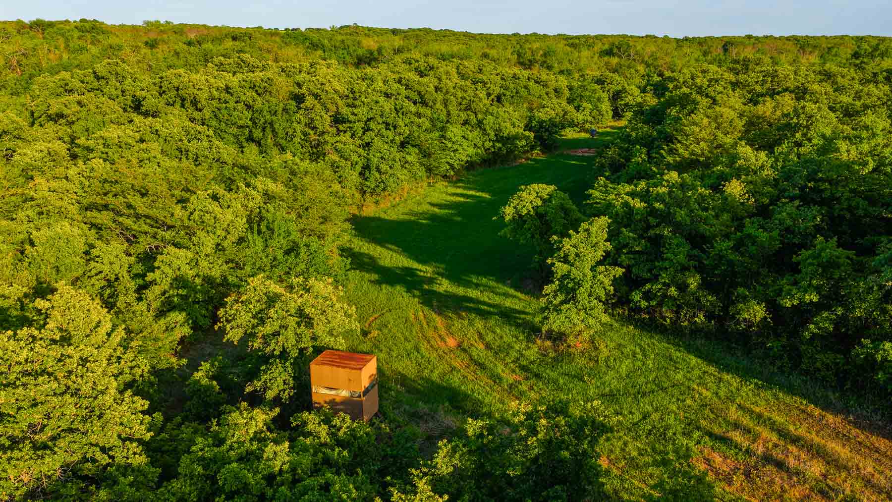 Farmers Creek Ranch property picture 50 of 62