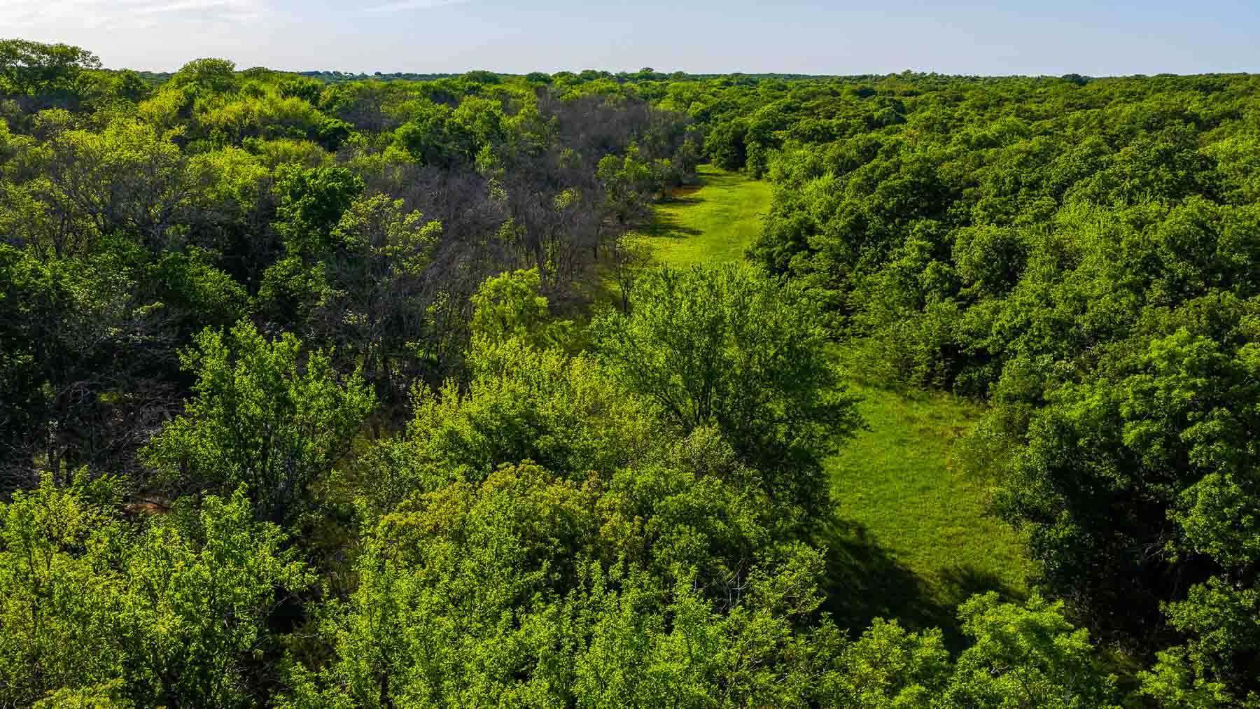 Farmers Creek Ranch property picture 18 of 62