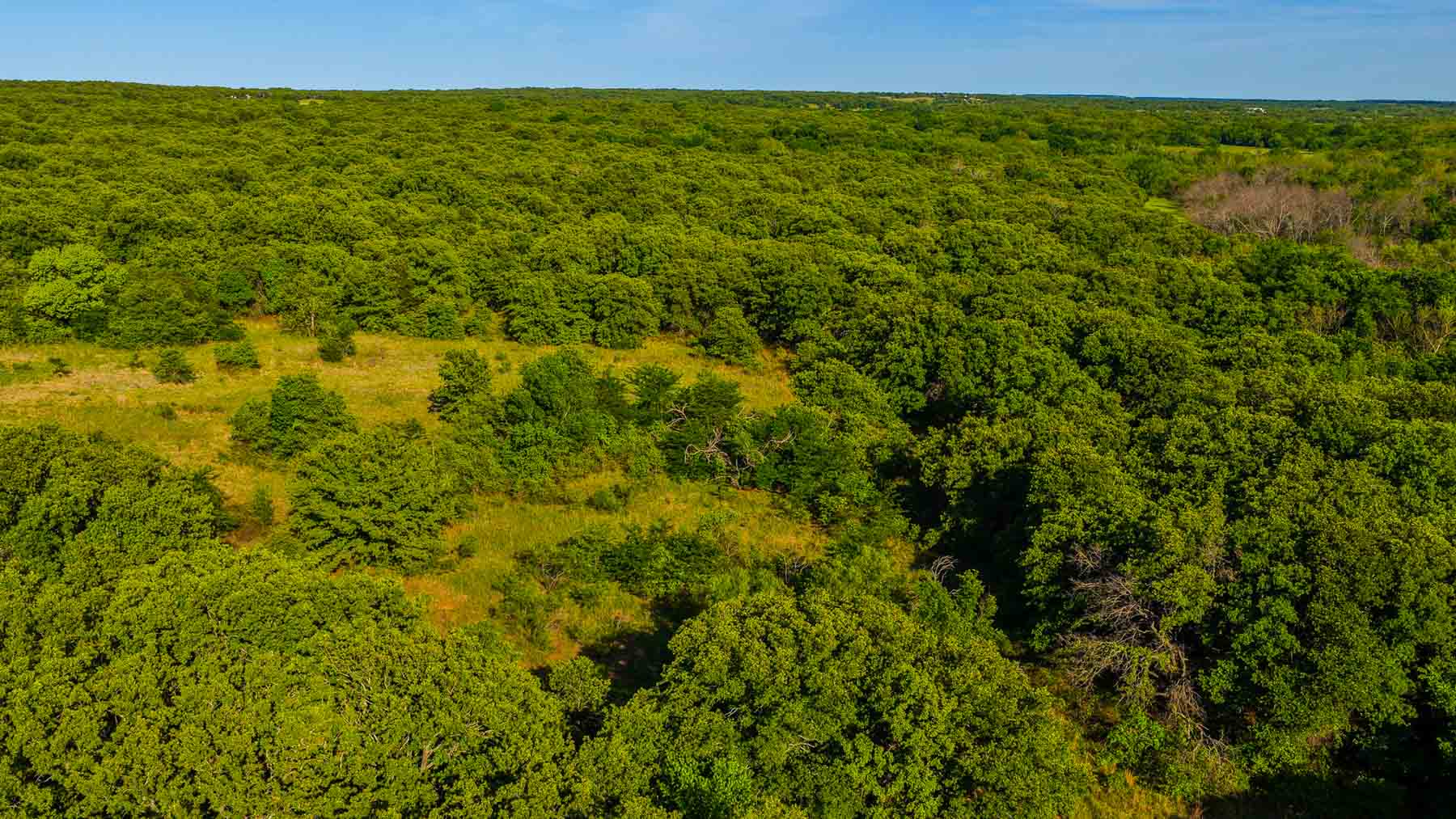 Farmers Creek Ranch property picture 25 of 62
