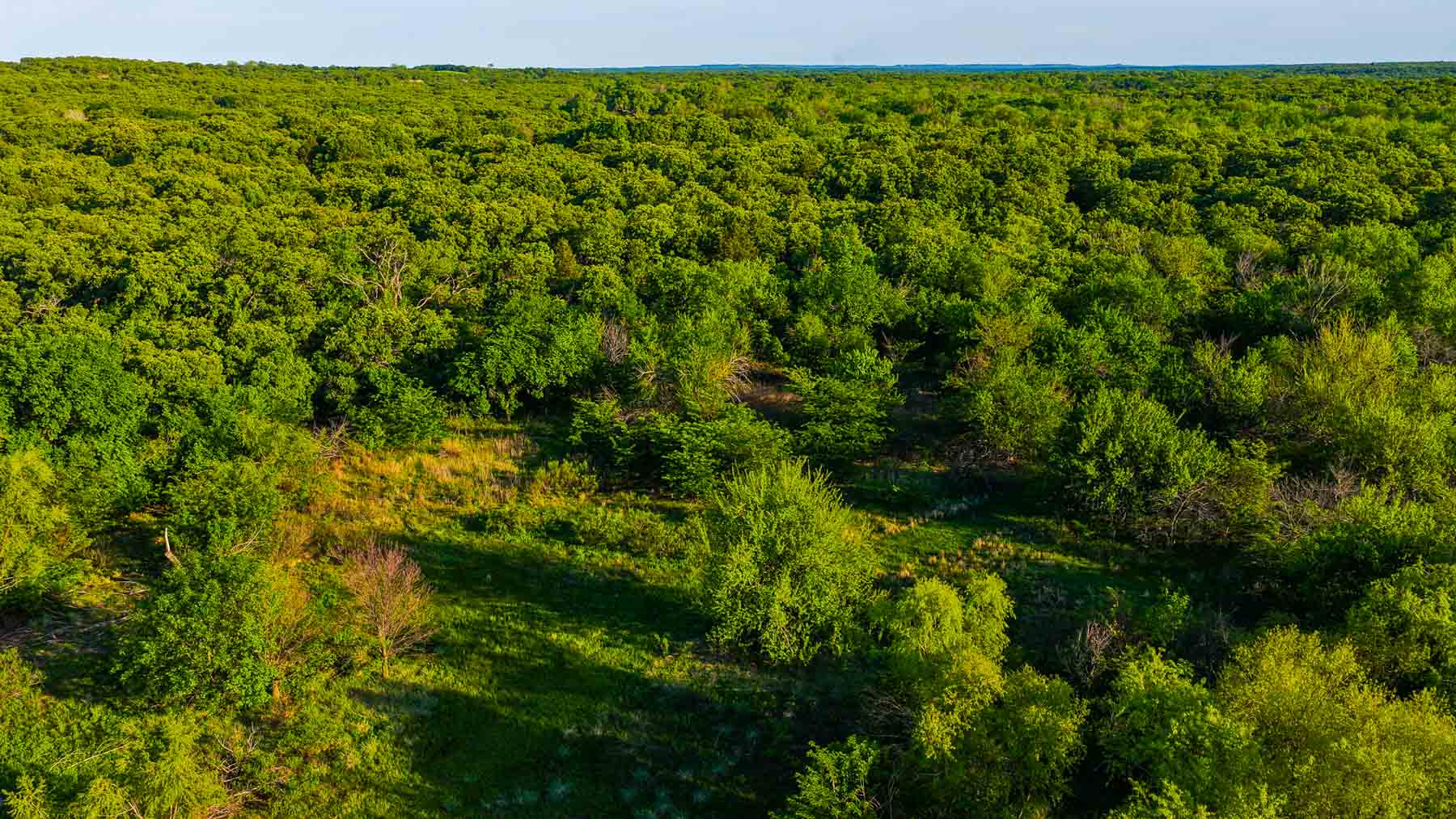Farmers Creek Ranch property picture 44 of 62