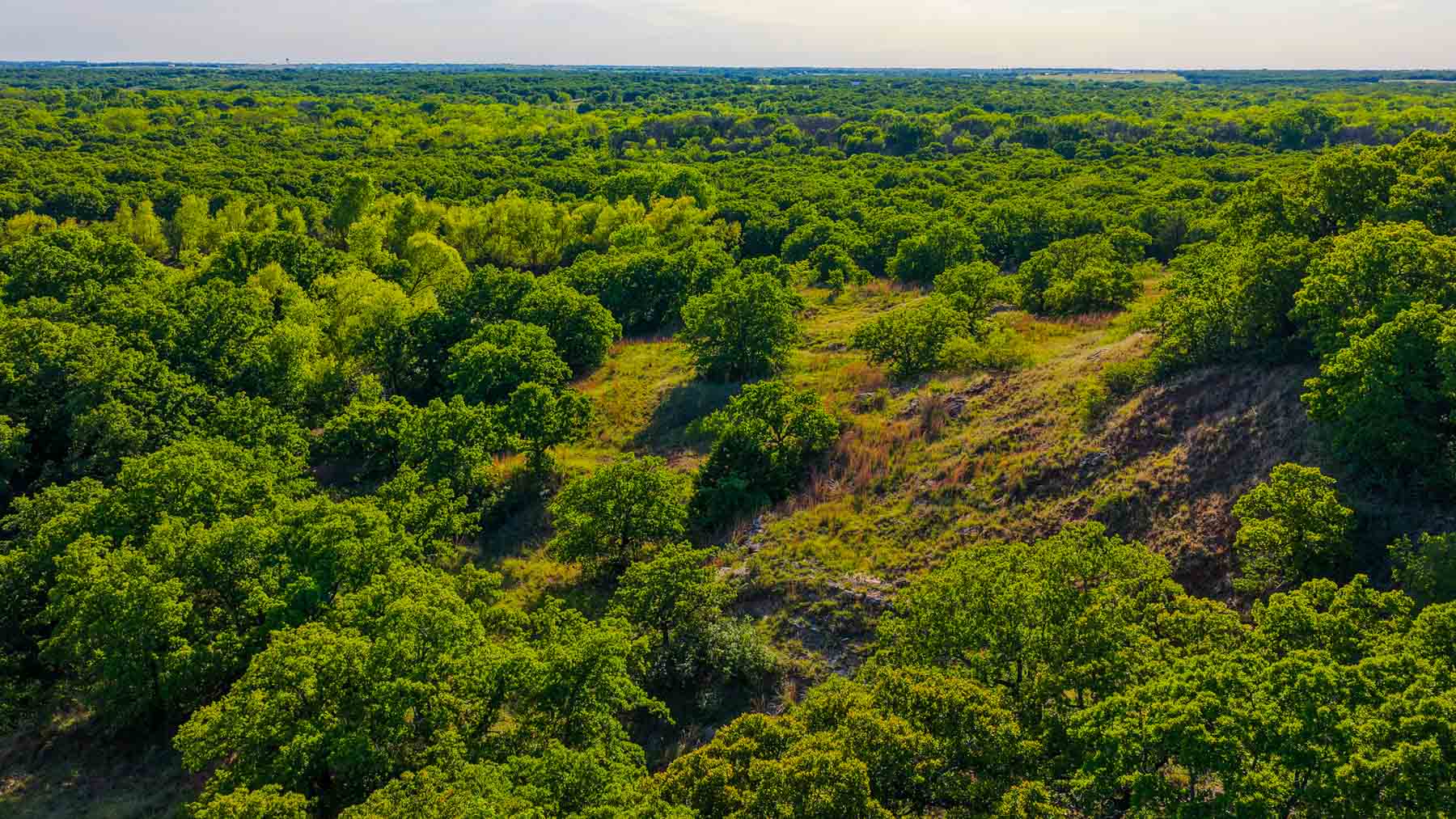 Farmers Creek Ranch property picture 32 of 62