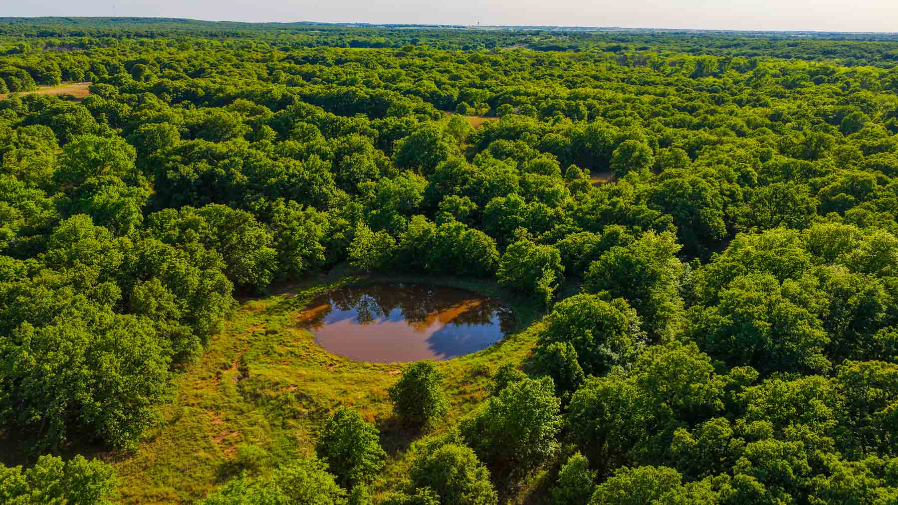 Farmers Creek Ranch property picture 41 of 62