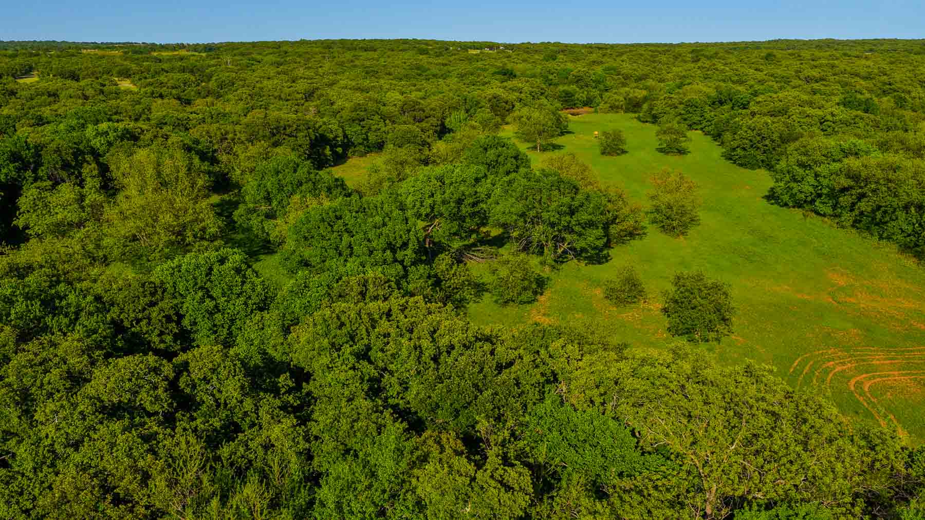 Farmers Creek Ranch property picture 26 of 62