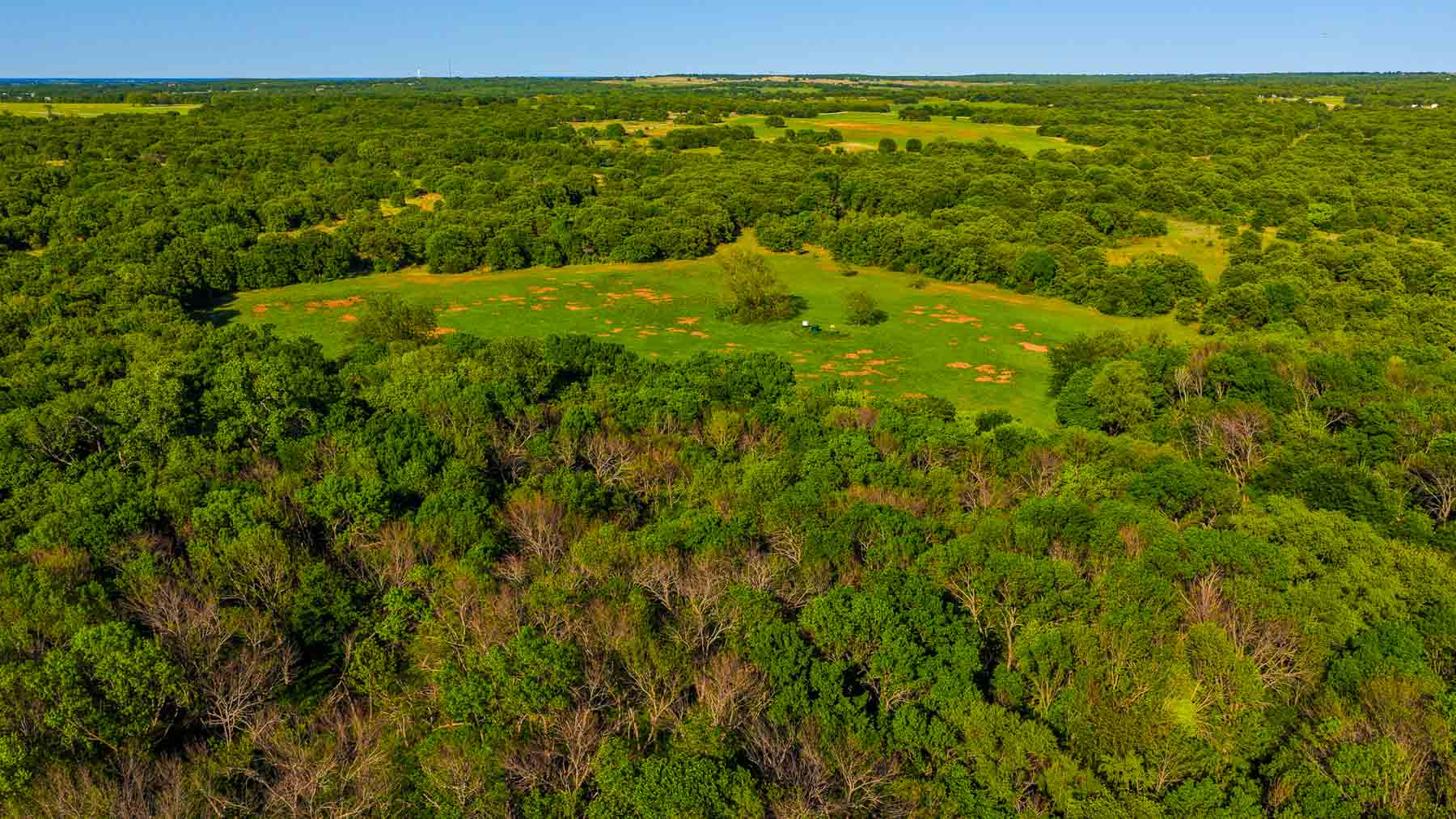 Farmers Creek Ranch property picture 22 of 62