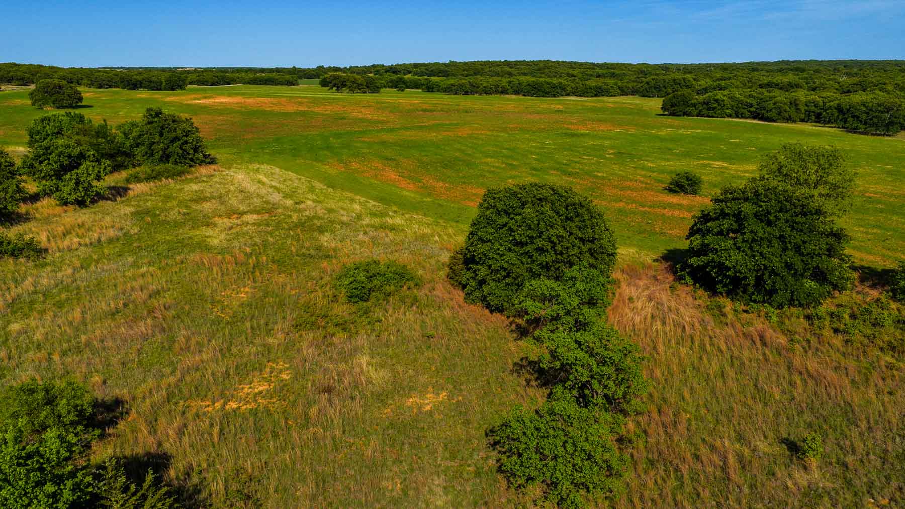 Farmers Creek Ranch property picture 15 of 62