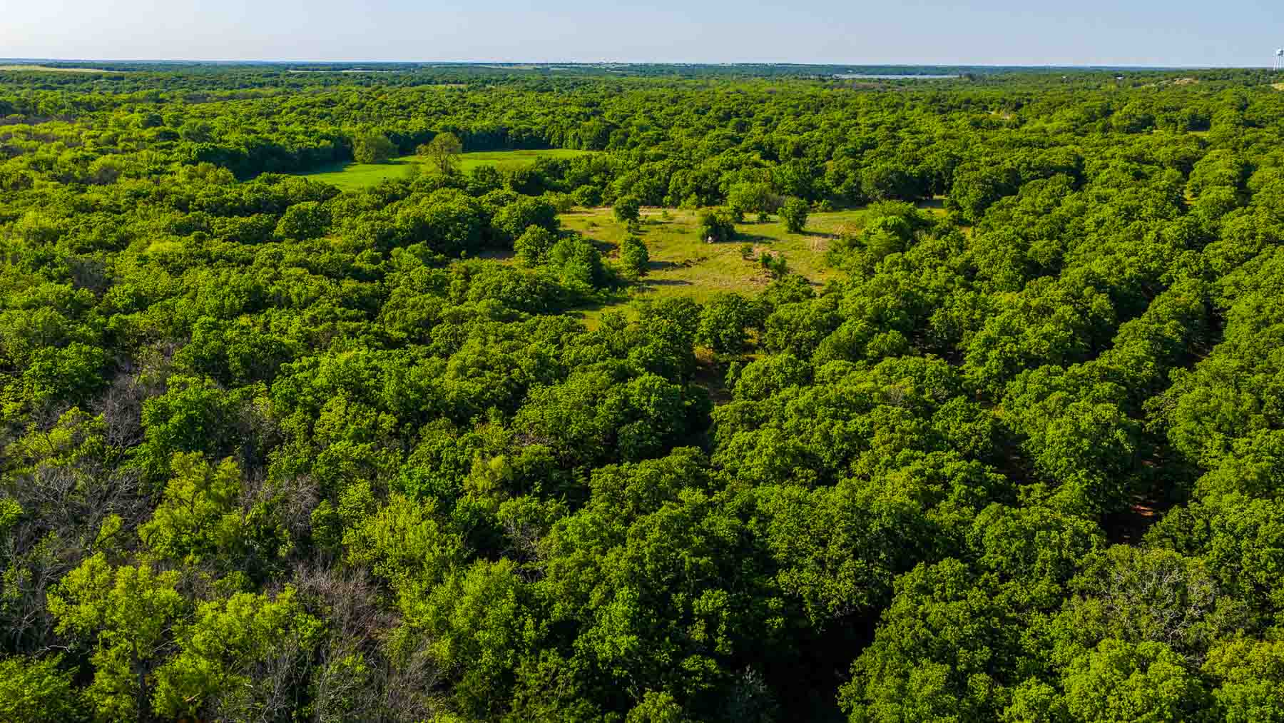 Farmers Creek Ranch property picture 20 of 62
