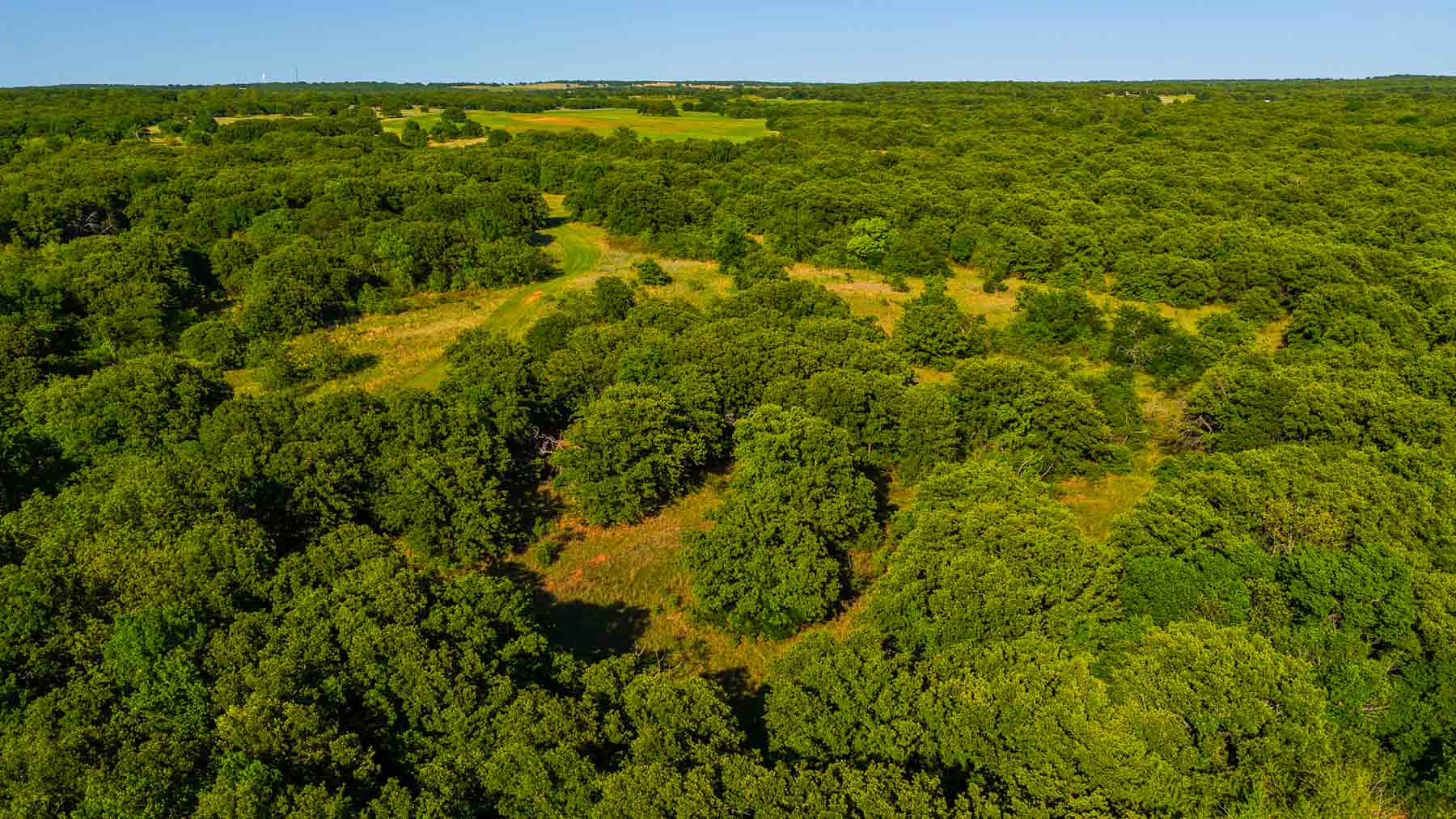 Farmers Creek Ranch property picture 24 of 62