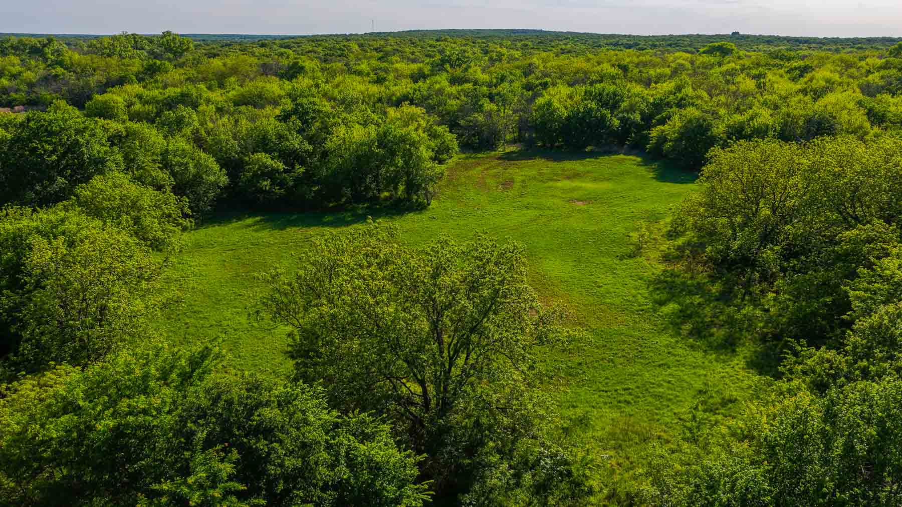 Farmers Creek Ranch property picture 17 of 62