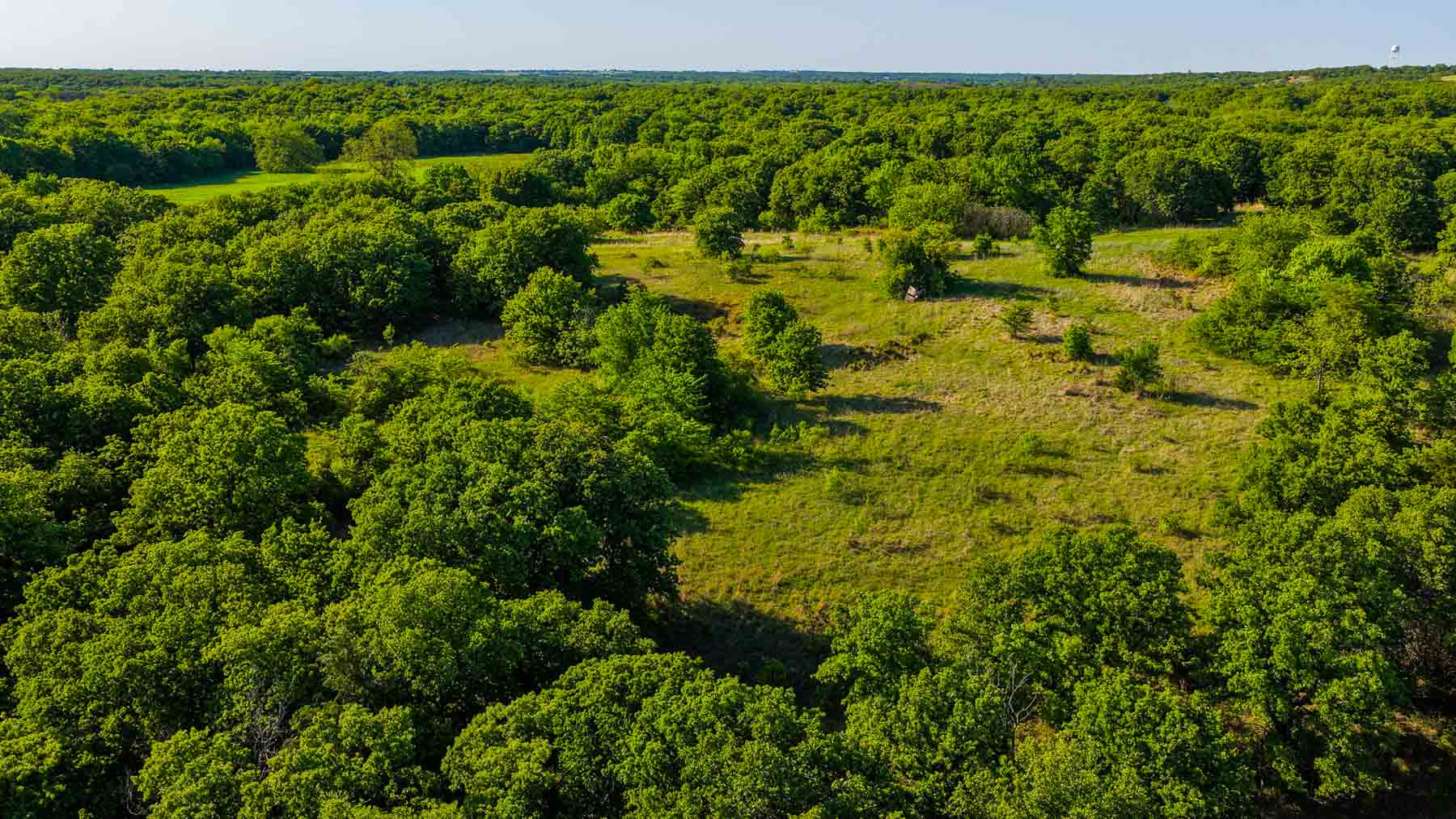 Farmers Creek Ranch property picture 21 of 62