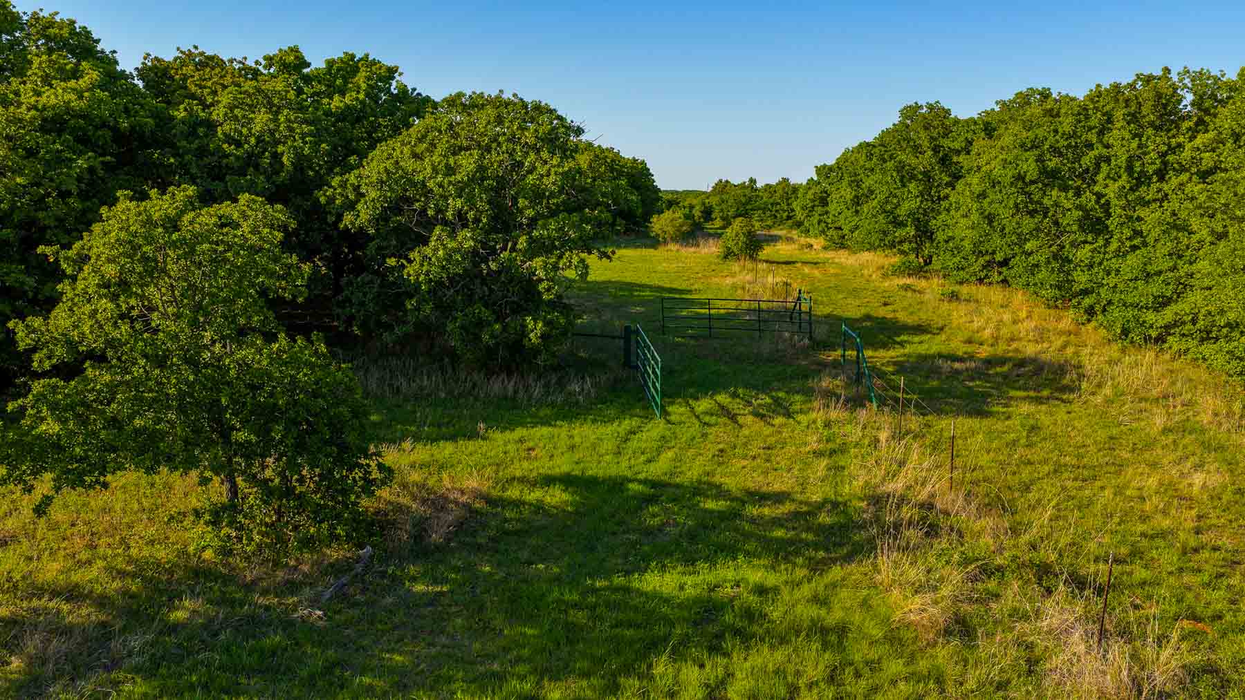 Farmers Creek Ranch property picture 28 of 62
