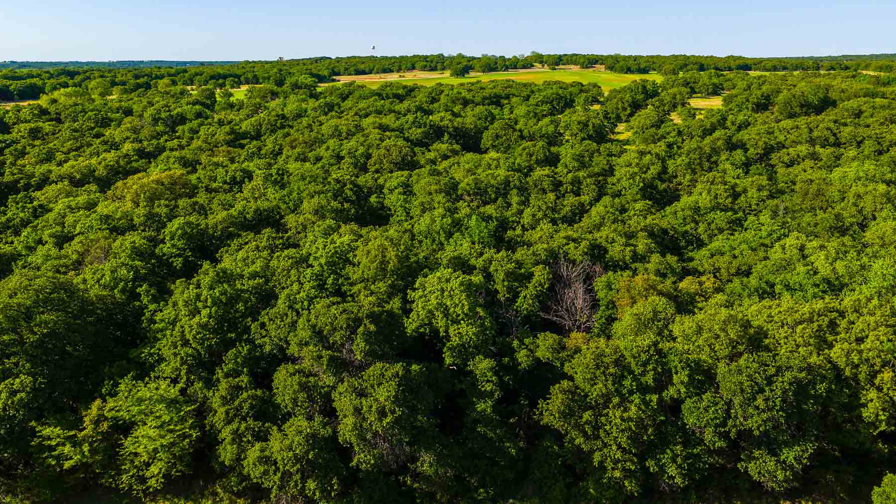 Farmers Creek Ranch property picture 27 of 62