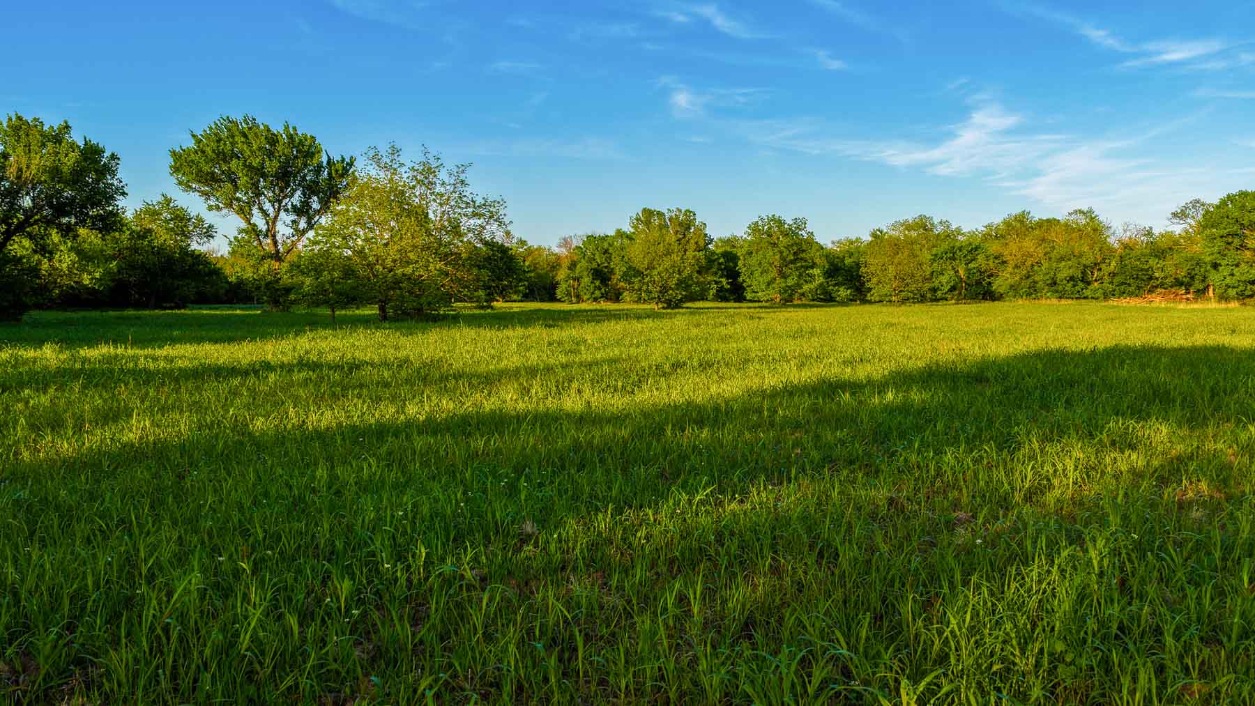 Farmers Creek Ranch property picture 55 of 62