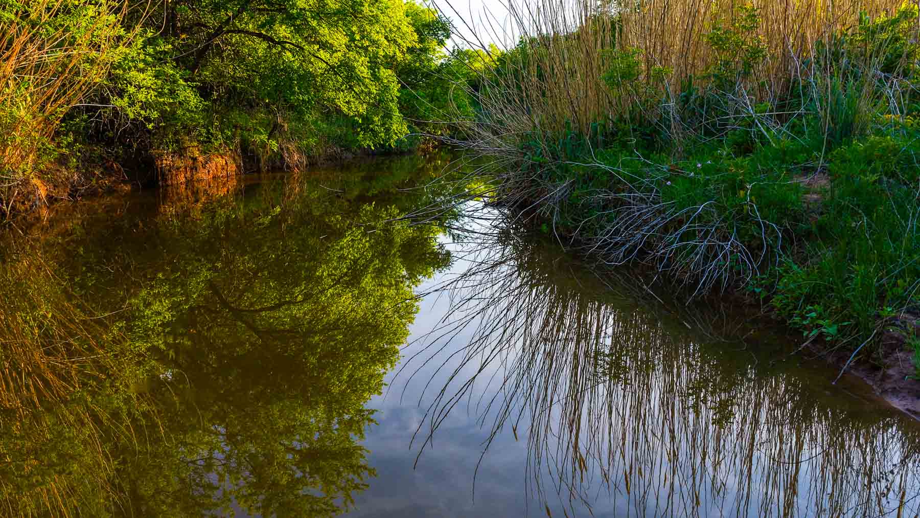Farmers Creek Ranch property picture 54 of 62