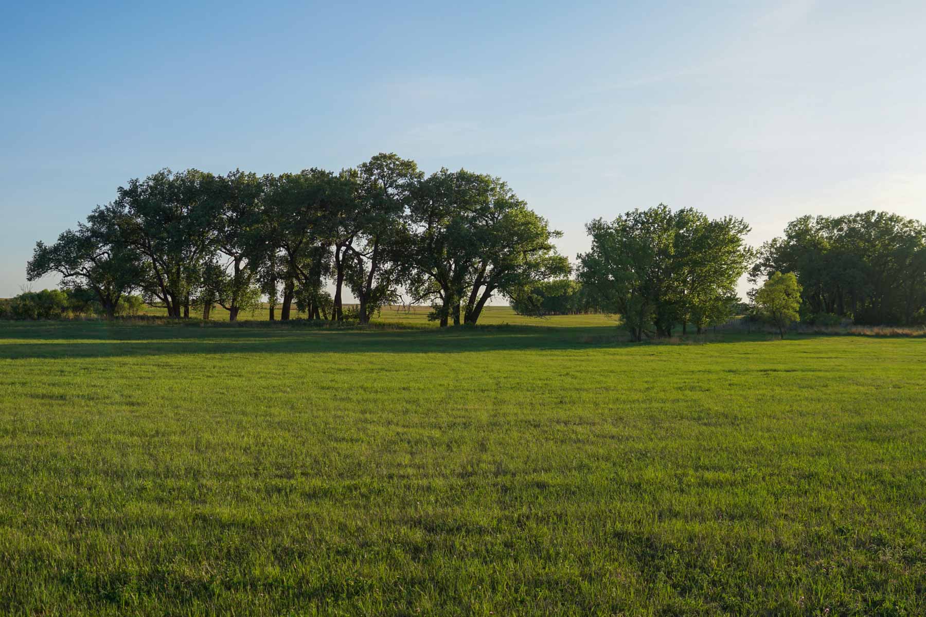 South Fork Ranch property picture 7 of 69