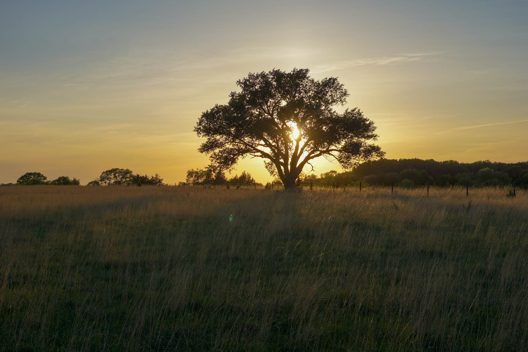 South Fork Ranch property picture 35 of 69