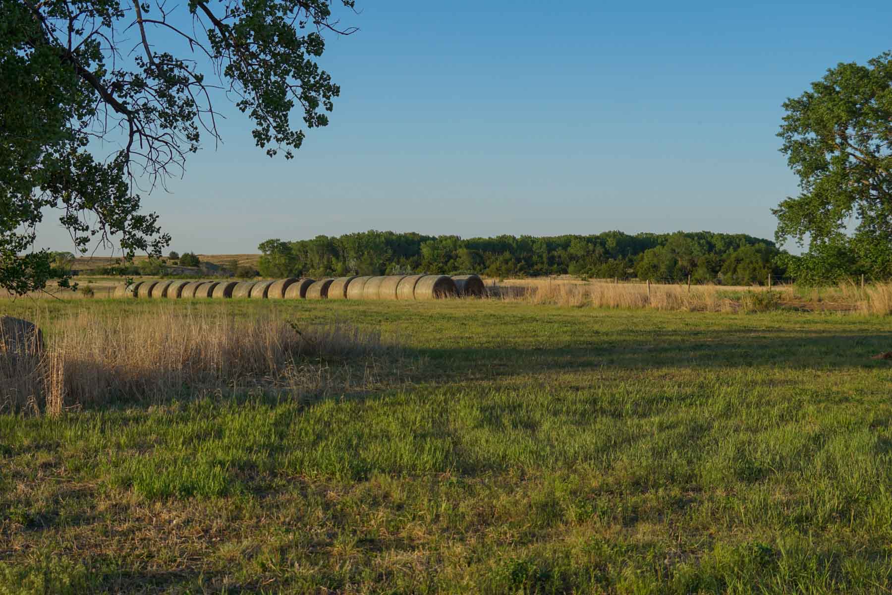South Fork Ranch property picture 11 of 69