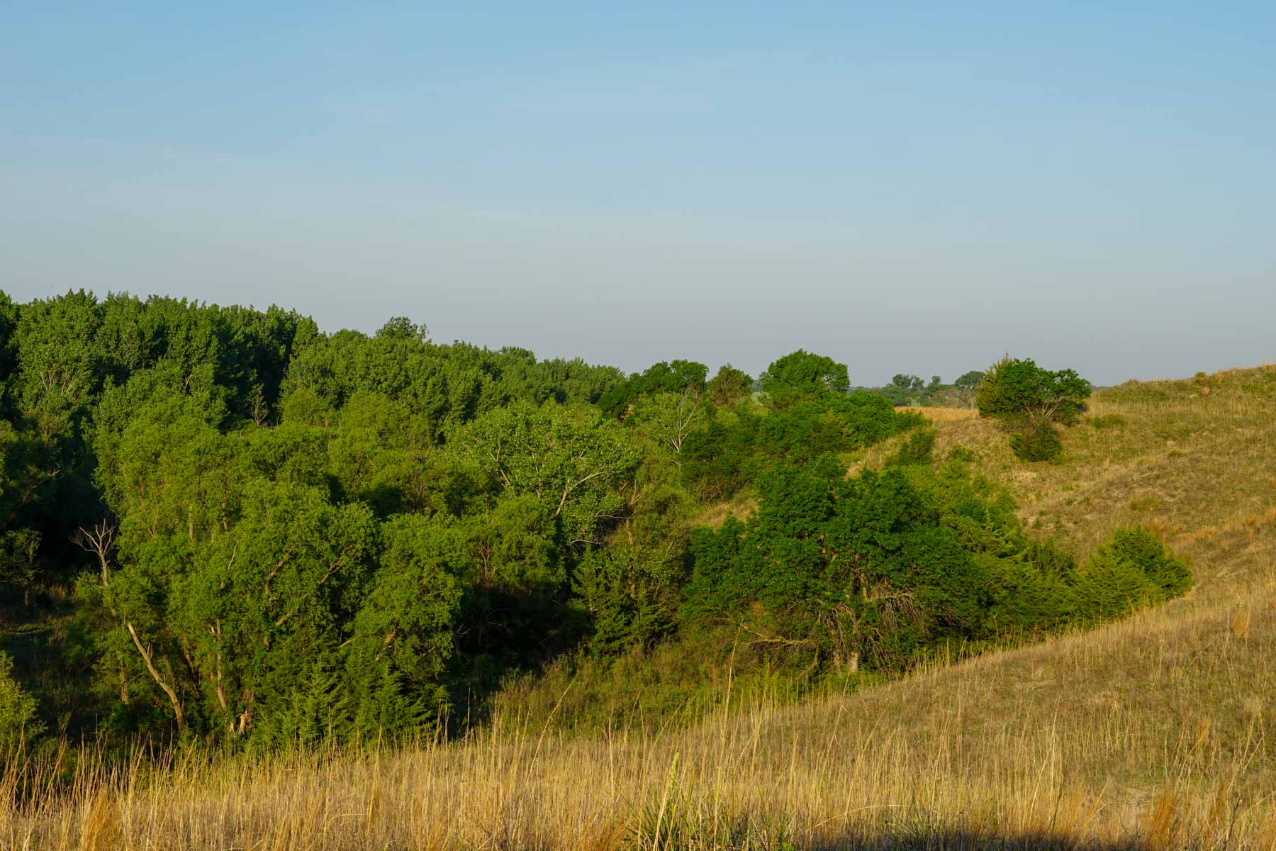 South Fork Ranch property picture 40 of 69