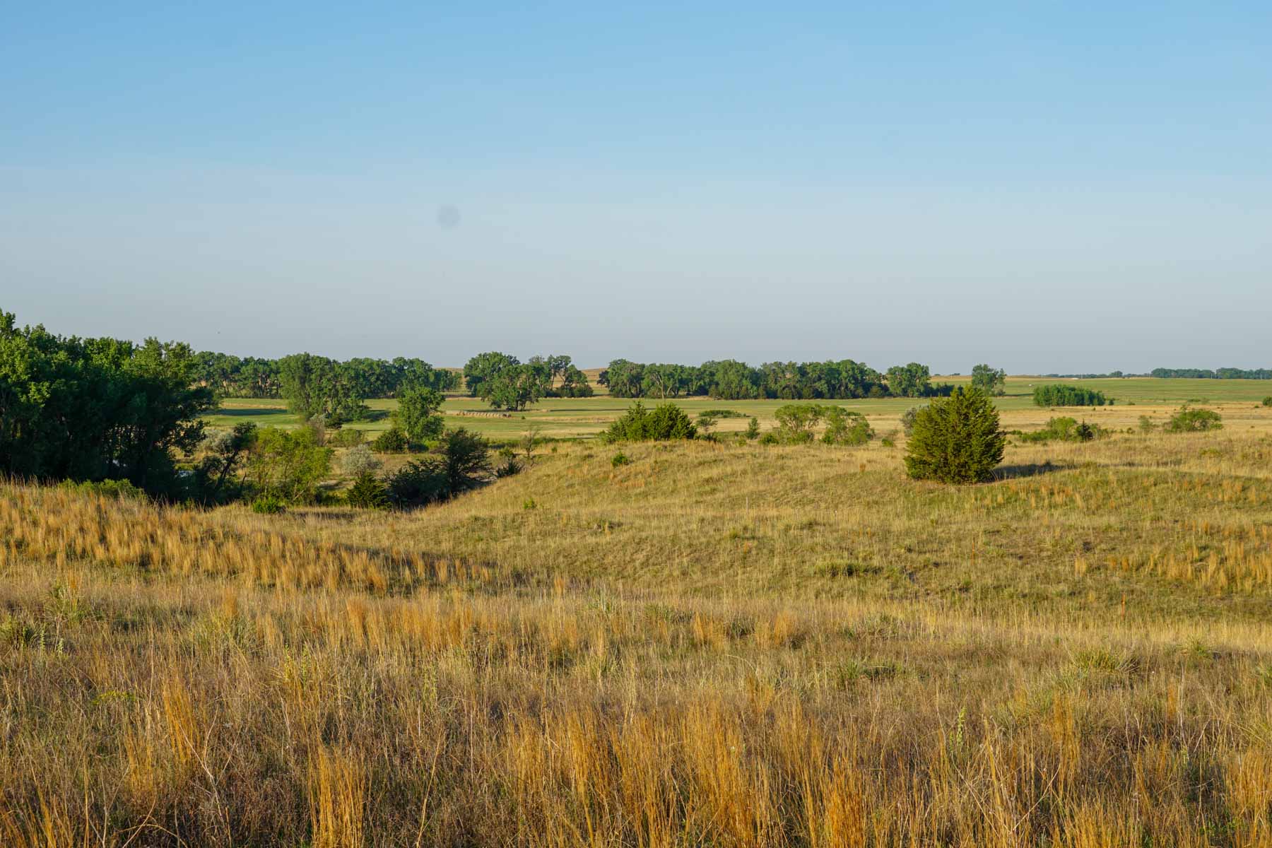 South Fork Ranch property picture 41 of 69