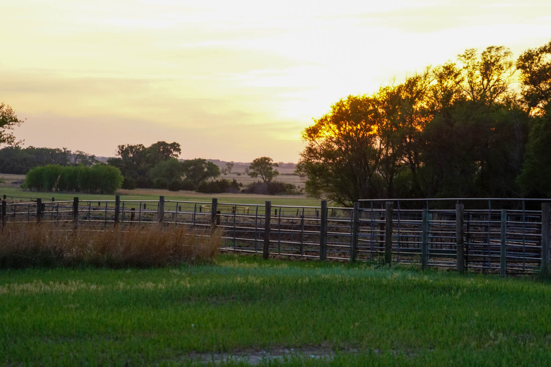 South Fork Ranch property picture 37 of 69