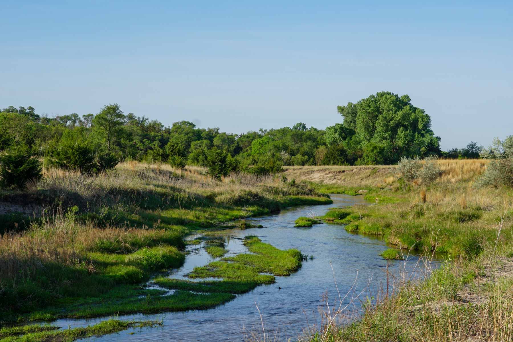 South Fork Ranch property picture 36 of 69
