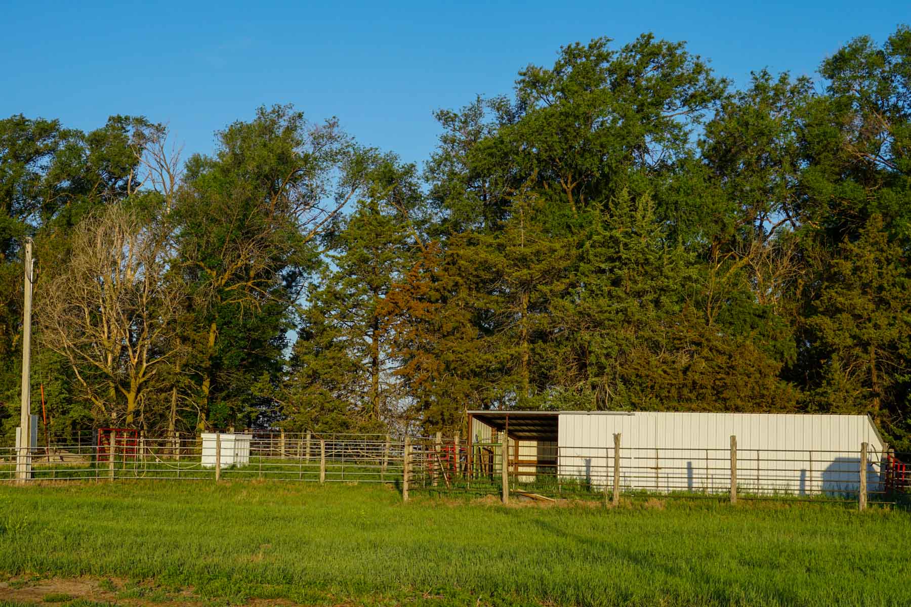 South Fork Ranch property picture 38 of 69