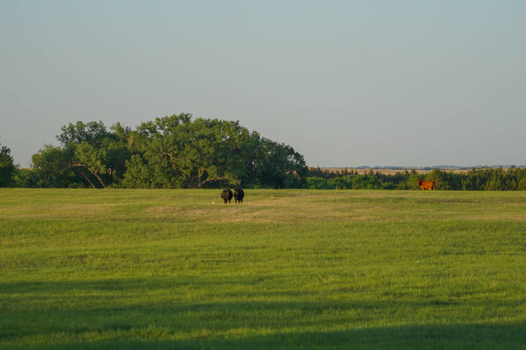 South Fork Ranch property picture 18 of 69
