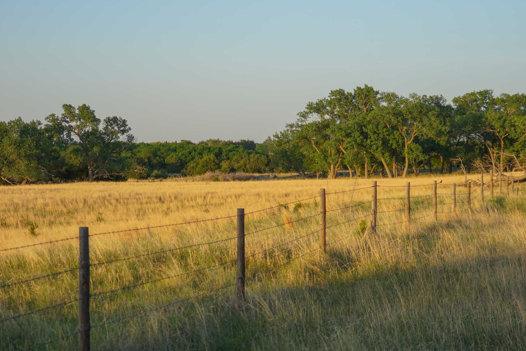South Fork Ranch property picture 16 of 69